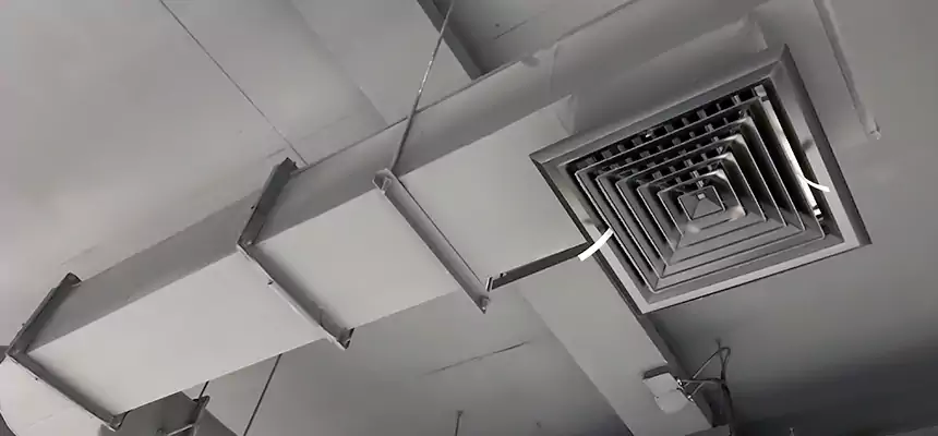 Our Pest Removal From Ducts Services in Staten Island, NY