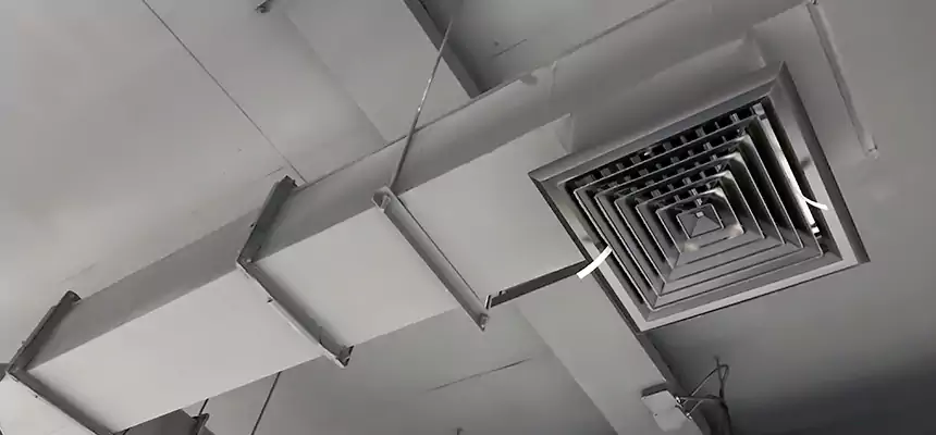 Our Rodent Droppings In Vents Services in Staten Island, NY