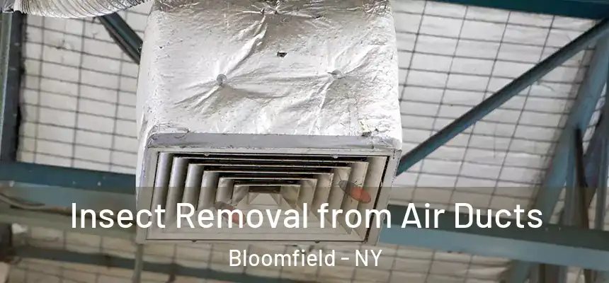  Insect Removal from Air Ducts Bloomfield - NY