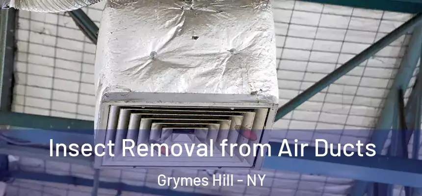  Insect Removal from Air Ducts Grymes Hill - NY