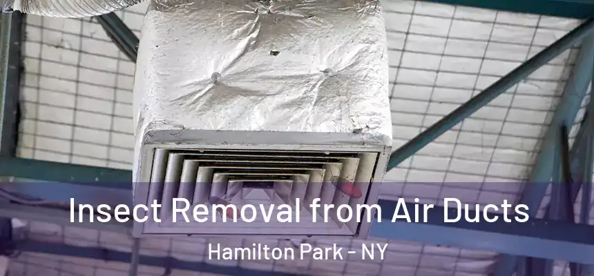 Insect Removal from Air Ducts Hamilton Park - NY