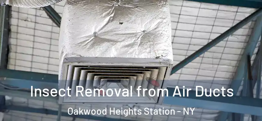 Insect Removal from Air Ducts Oakwood Heights Station - NY