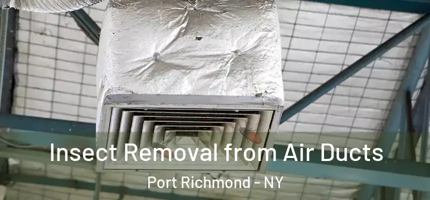 Insect Removal from Air Ducts Port Richmond - NY