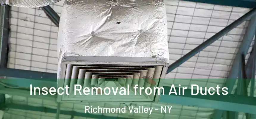 Insect Removal from Air Ducts Richmond Valley - NY