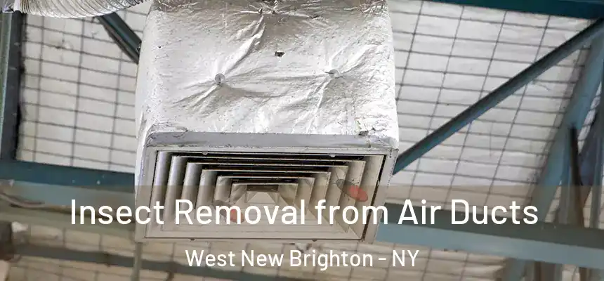 Insect Removal from Air Ducts West New Brighton - NY