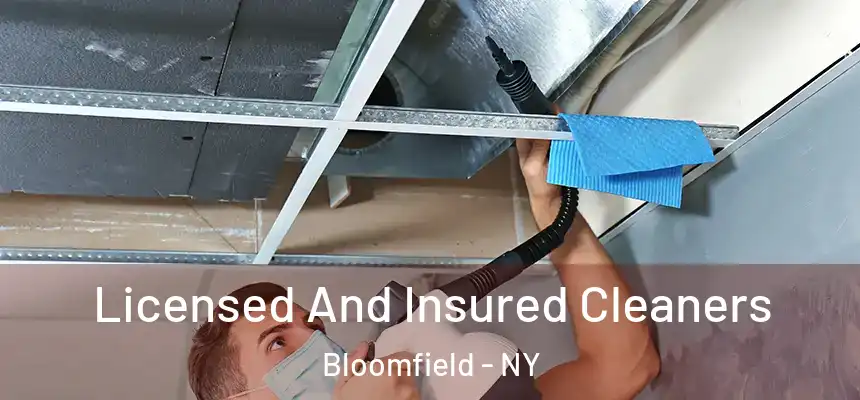  Licensed And Insured Cleaners Bloomfield - NY