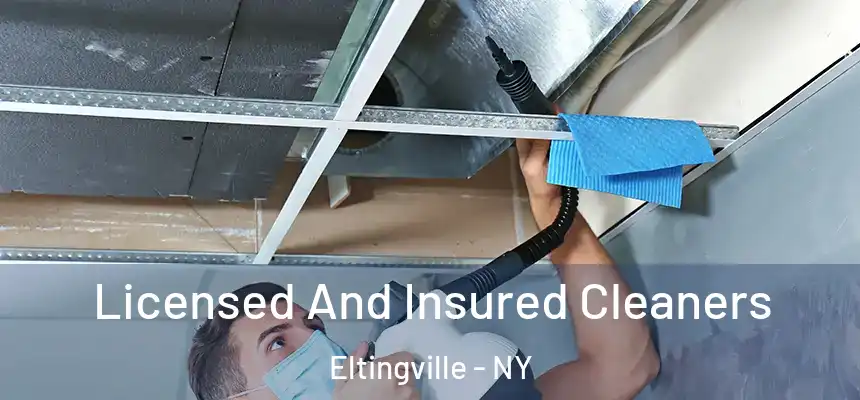  Licensed And Insured Cleaners Eltingville - NY