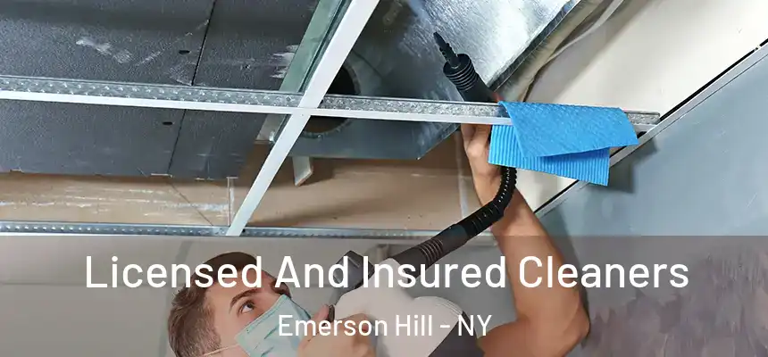 Licensed And Insured Cleaners Emerson Hill - NY