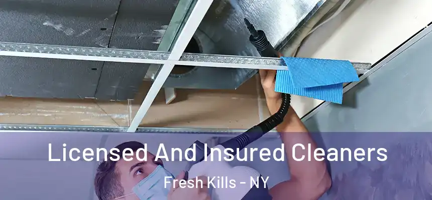 Licensed And Insured Cleaners Fresh Kills - NY