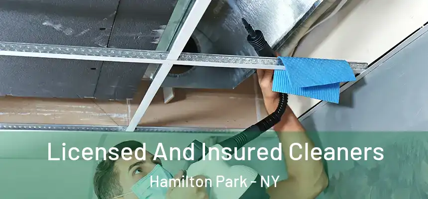 Licensed And Insured Cleaners Hamilton Park - NY