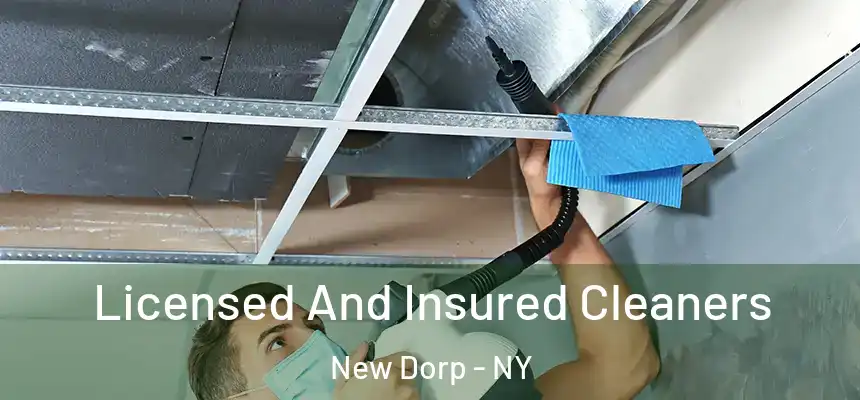 Licensed And Insured Cleaners New Dorp - NY