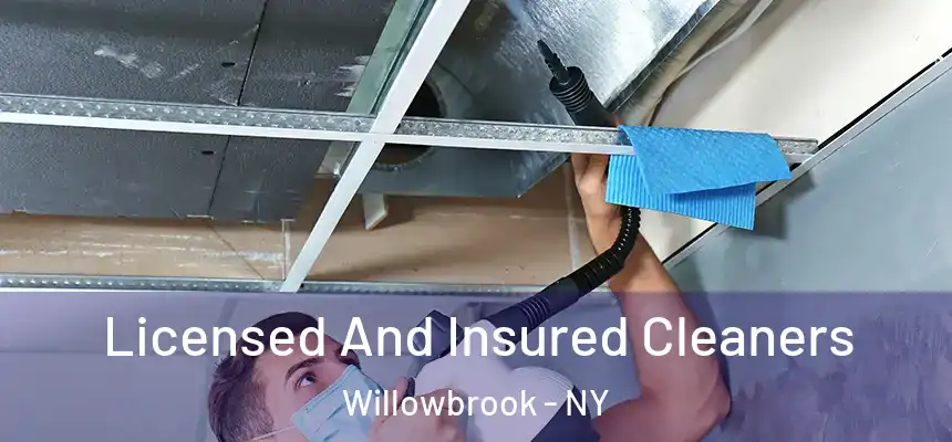 Licensed And Insured Cleaners Willowbrook - NY