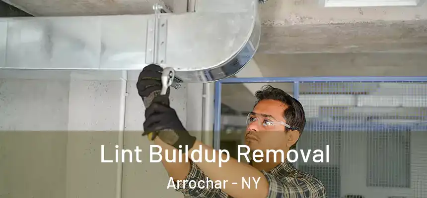  Lint Buildup Removal Arrochar - NY