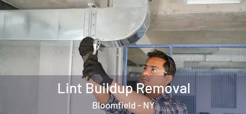  Lint Buildup Removal Bloomfield - NY