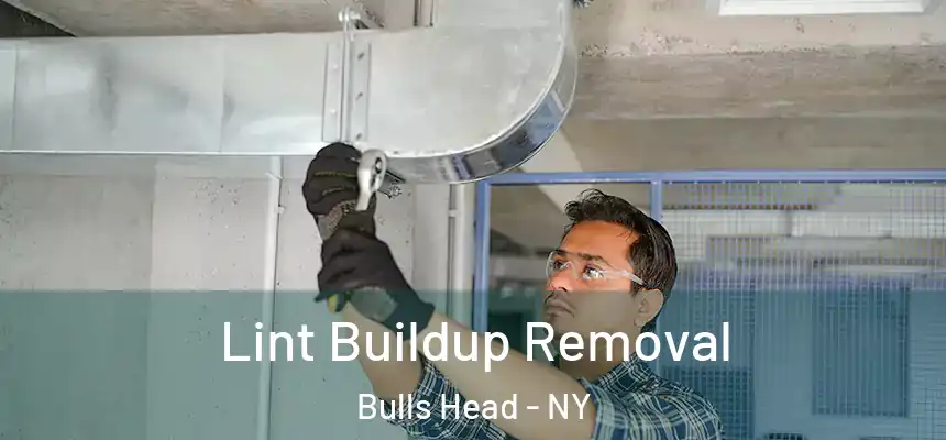 Lint Buildup Removal Bulls Head - NY