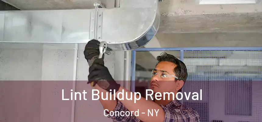  Lint Buildup Removal Concord - NY