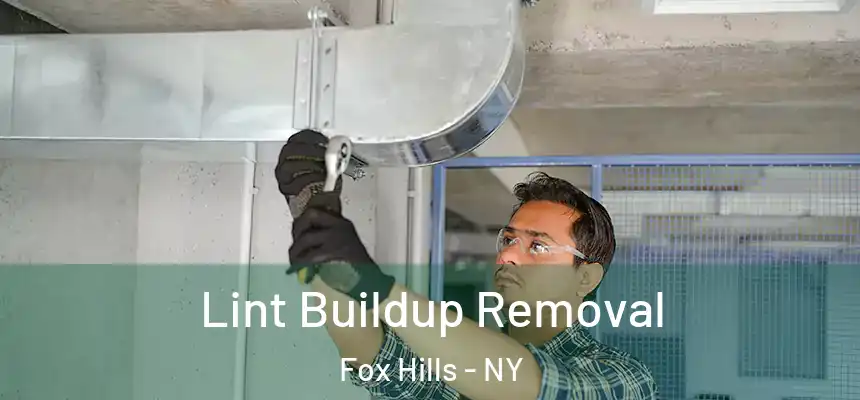 Lint Buildup Removal Fox Hills - NY
