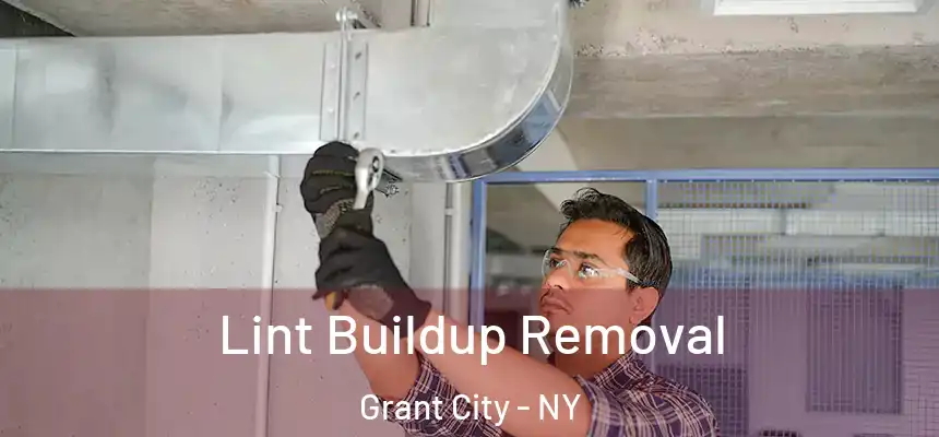  Lint Buildup Removal Grant City - NY