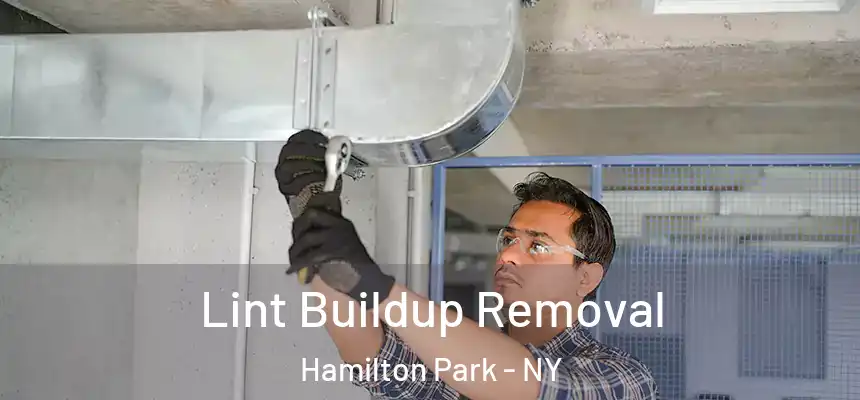  Lint Buildup Removal Hamilton Park - NY