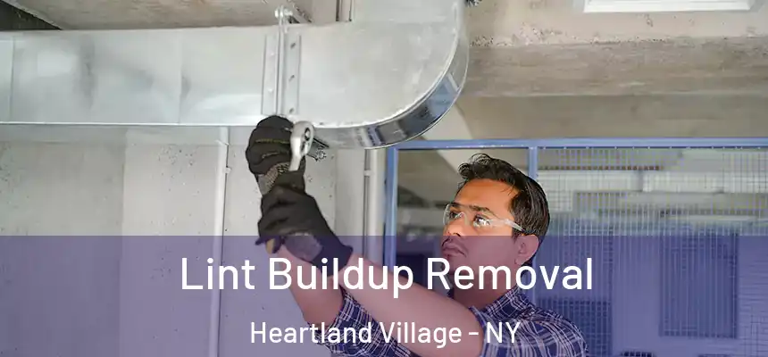  Lint Buildup Removal Heartland Village - NY
