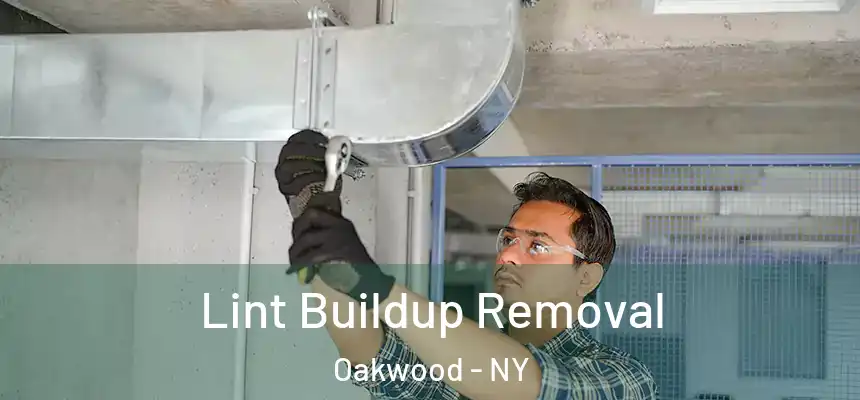 Lint Buildup Removal Oakwood - NY