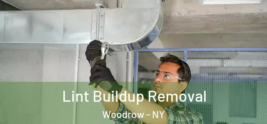 Lint Buildup Removal Woodrow - NY