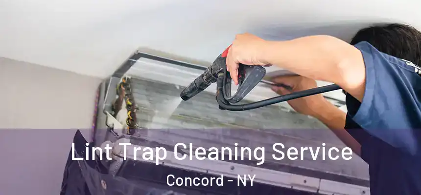  Lint Trap Cleaning Service Concord - NY