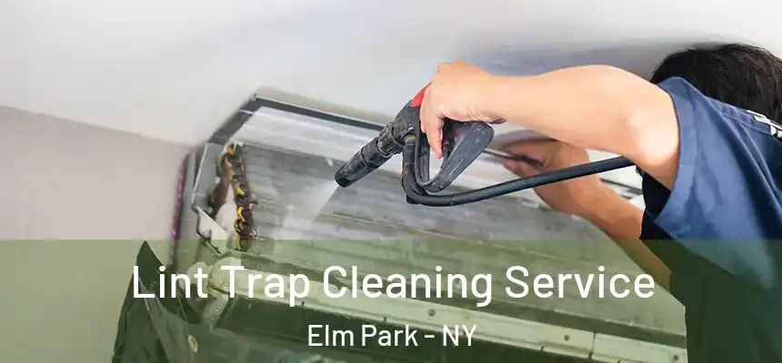 Lint Trap Cleaning Service Elm Park - NY