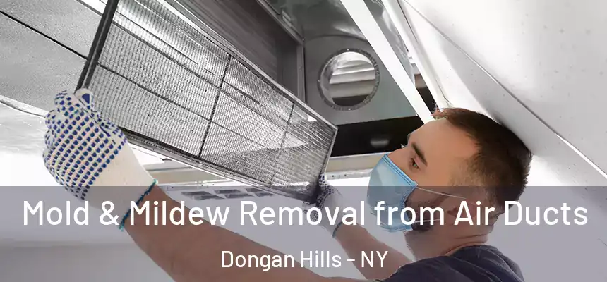 Mold & Mildew Removal from Air Ducts Dongan Hills - NY