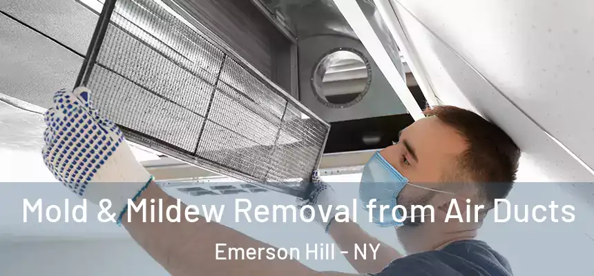 Mold & Mildew Removal from Air Ducts Emerson Hill - NY