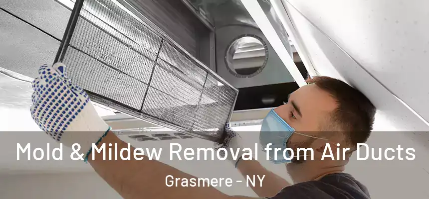 Mold & Mildew Removal from Air Ducts Grasmere - NY
