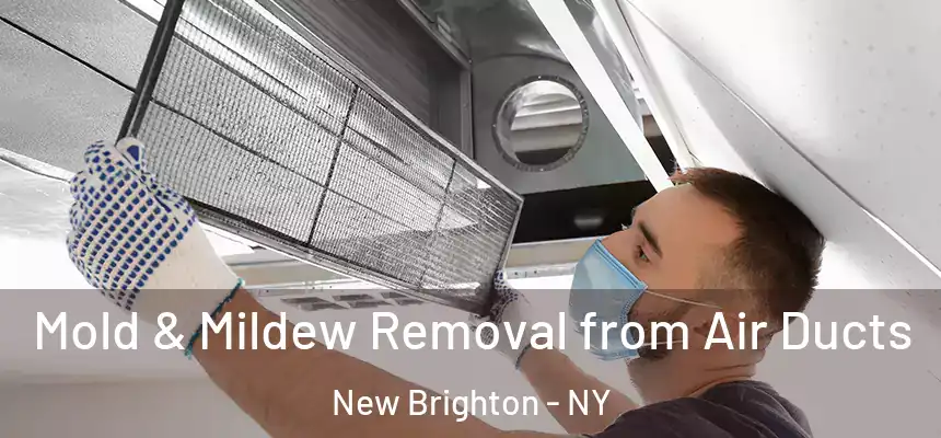 Mold & Mildew Removal from Air Ducts New Brighton - NY