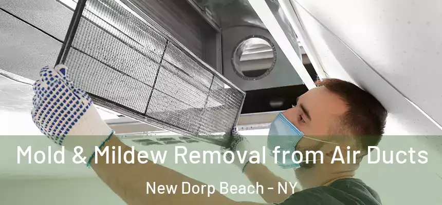Mold & Mildew Removal from Air Ducts New Dorp Beach - NY