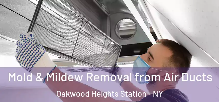 Mold & Mildew Removal from Air Ducts Oakwood Heights Station - NY