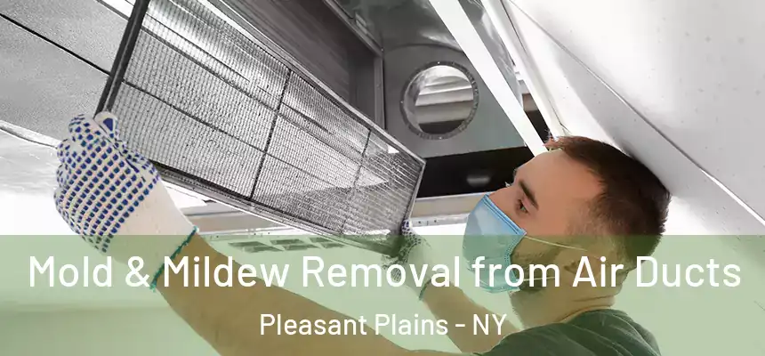 Mold & Mildew Removal from Air Ducts Pleasant Plains - NY