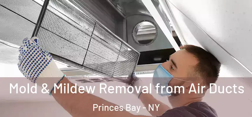  Mold & Mildew Removal from Air Ducts Princes Bay - NY