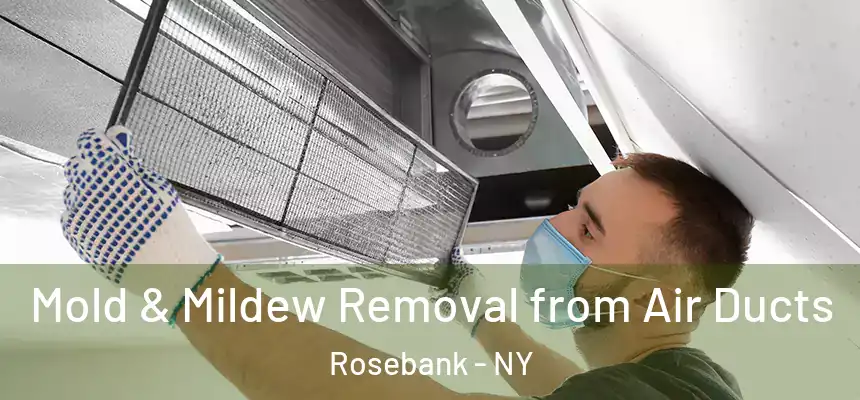  Mold & Mildew Removal from Air Ducts Rosebank - NY