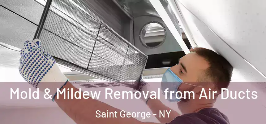 Mold & Mildew Removal from Air Ducts Saint George - NY