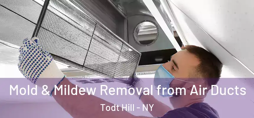  Mold & Mildew Removal from Air Ducts Todt Hill - NY