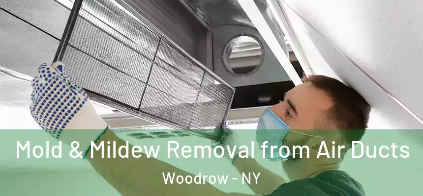 Mold & Mildew Removal from Air Ducts Woodrow - NY