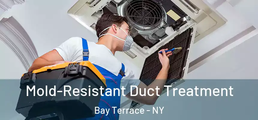 Mold-Resistant Duct Treatment Bay Terrace - NY