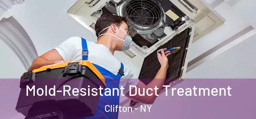  Mold-Resistant Duct Treatment Clifton - NY