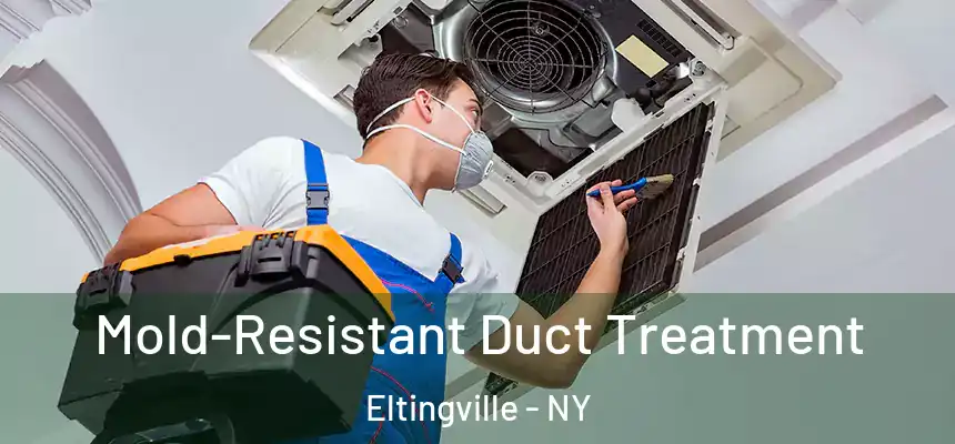  Mold-Resistant Duct Treatment Eltingville - NY