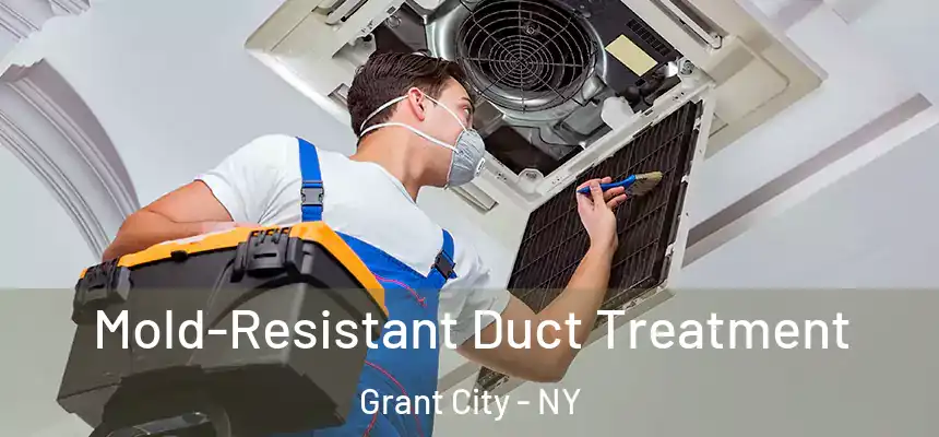  Mold-Resistant Duct Treatment Grant City - NY
