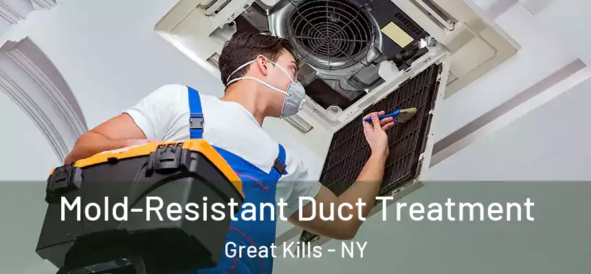  Mold-Resistant Duct Treatment Great Kills - NY