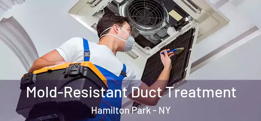 Mold-Resistant Duct Treatment Hamilton Park - NY