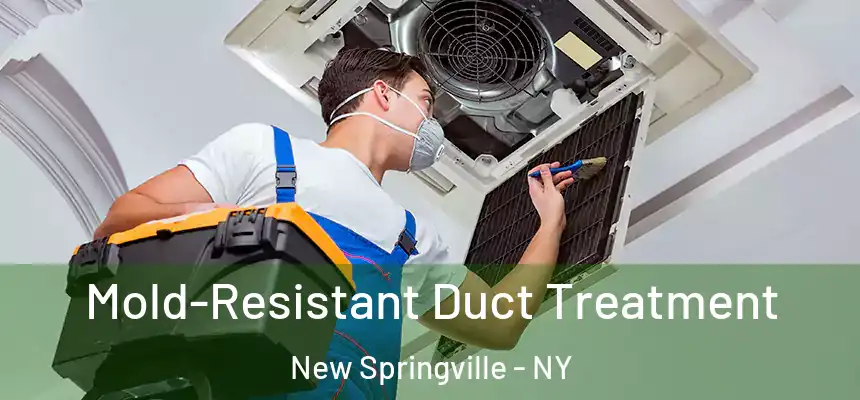  Mold-Resistant Duct Treatment New Springville - NY