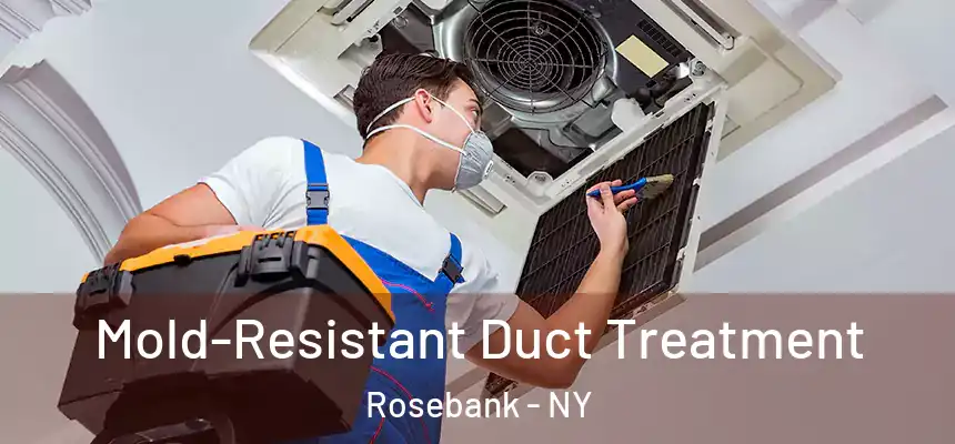  Mold-Resistant Duct Treatment Rosebank - NY