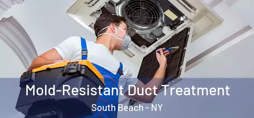Mold-Resistant Duct Treatment South Beach - NY