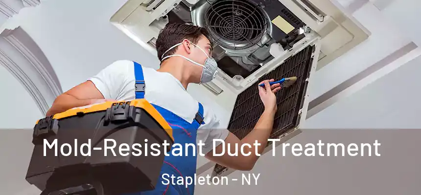 Mold-Resistant Duct Treatment Stapleton - NY